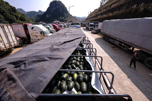 Trong ngày 3-1 vẫn có 10 xe dưa hấu từ nội địa lên cửa khẩu Tân Thanh, tỉnh Lạng Sơn - Ảnh: NAM TRẦN