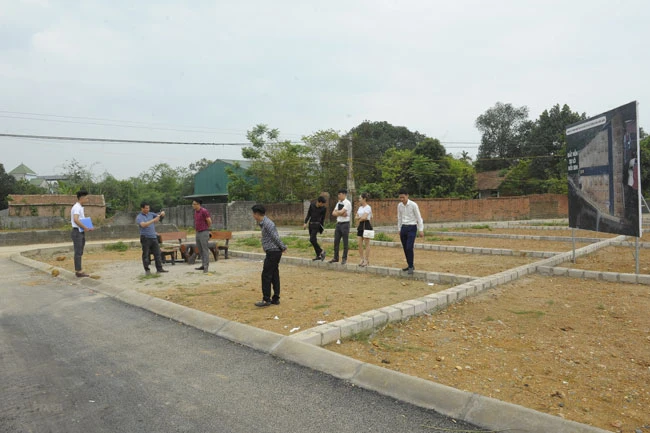 Cấm tách thửa, 'quản' đất nông nghiệp