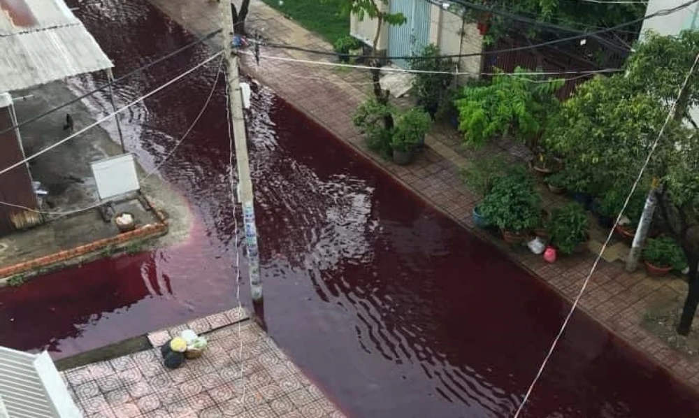 Đường Phan Anh, Tô Hiệu ở quận Tân Phú bị ngập nước có màu đỏ, bốc mùi nồng nặc.