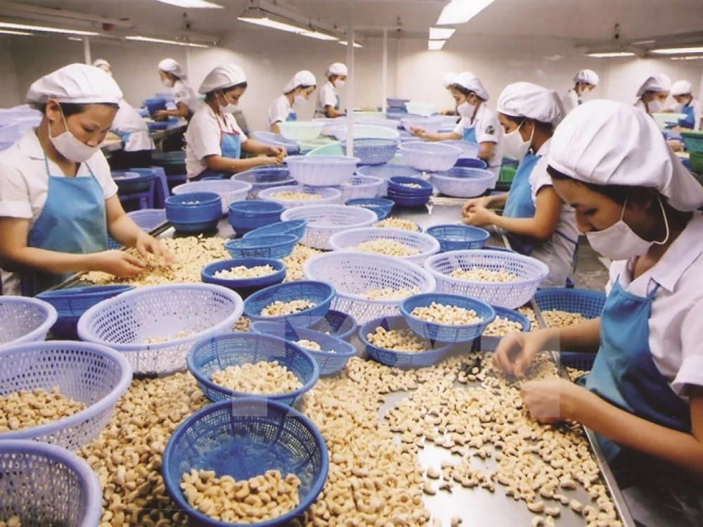 Xuất-nhập nông phẩm Việt có đáng lo?
