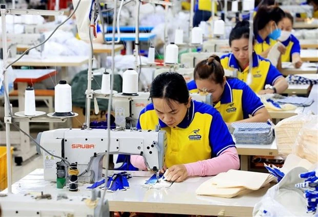 Công nhân dệt may tại Công ty cổ phần May mặc Dony, huyện Bình Chánh, Thành phố Hồ Chí Minh. (Ảnh: Hồng Đạt/TTXVN)