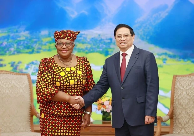 Thủ tướng Phạm Minh Chính tiếp Tổng Giám đốc Tổ chức Thương mại thế giới (WTO) Ngozi Okonjo-Iweal. (Ảnh: Dương Giang/TTXVN)