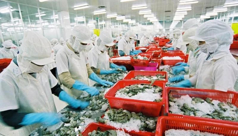 Các doanh nghiệp chế biến thủy sản đang phải chật vật duy trì sản xuất. 