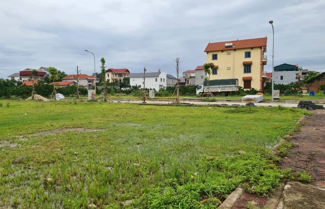 Theo Ủy ban nhân dân TP Hà Nội, từ đầu năm tới nay, thành phố tổ chức được 65 phiên đấu giá quyền sử dụng đất, trong đó có 28 phiên đấu giá không thành. (Ảnh minh họa - Ảnh: Dân trí)