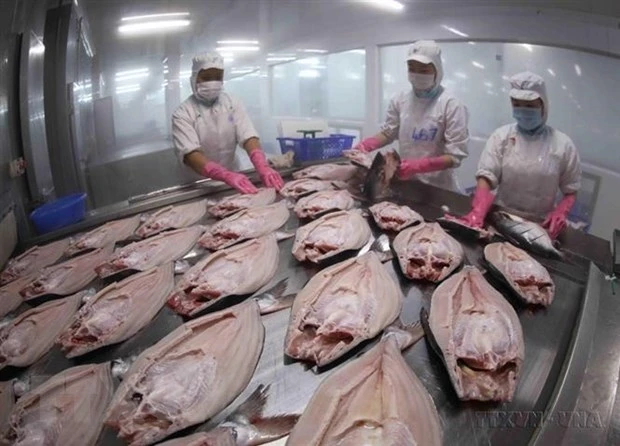 Cấp đông sản phẩm cá tra nguyên con xuất khẩu tại nhà máy chế biến thủy sản của Tập đoàn Sao Mai, An Giang. (Ảnh: Vũ Sinh/TTXVN)
