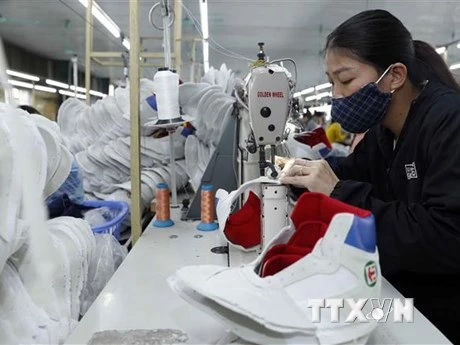 Việt Nam giữ vai trò quan trọng trong chuỗi cung ứng của Adidas, Nike