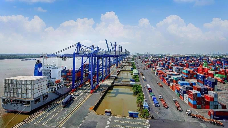Các cảng hầu hết đều đang thu các hãng tàu nước ngoài với giá sàn, chỉ tương đương 60% so với các cảng trong khu vực ASEAN. 