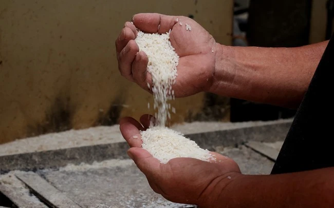 Các thương nhân dự báo, từ nay đến cuối năm, giá gạo Việt Nam xuất khẩu nhiều khả năng vẫn giữ trên 600 USD/tấn. (Ảnh: TTXVN)