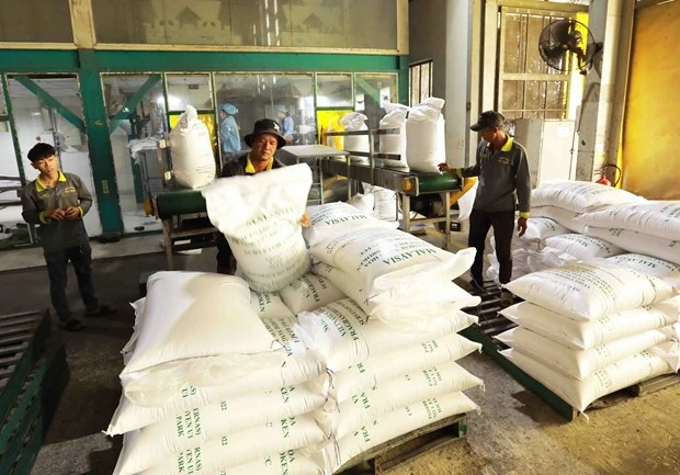 Trong 9 tháng vừa qua, Việt Nam đã xuất khẩu 6,6 triệu tấn gạo. (Ảnh: Đức Duy/Vietnam+)
