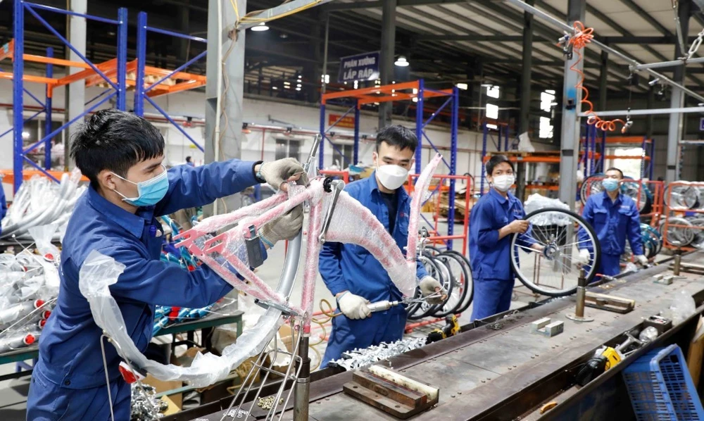 Công ty xe đạp Thống Nhất sản xuất xe đạp tiêu thụ thị trường trong nước và xuất khẩu. (Ảnh: Trần Việt/TTXVN)