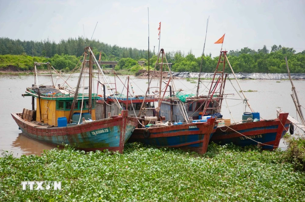 Tàu thuyền chủ động neo đậu tránh trú bão. (Ảnh minh họa. Vũ Quang/TTXVN)