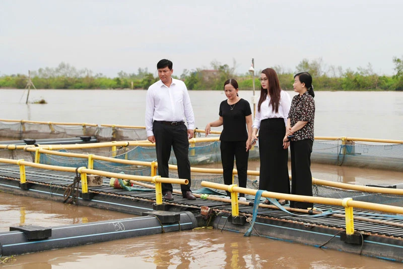 Đoàn công tác Agribank thăm hỏi, động viên khách hàng Phạm Văn Nhiêu tại huyện Tiên Lãng - Hải Phòng, bị thiệt hại khoảng 200 tấn cá giống, cá thịt và 3 khu lán trại, thiệt hại ước tính 13 tỷ đồng.