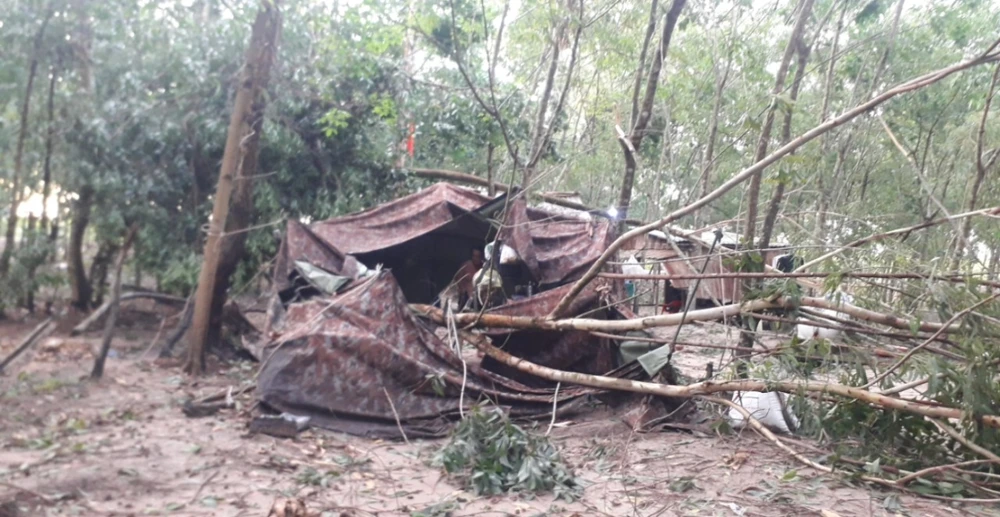 Cây ngã đè lên một chốt chống dịch dọc biên giới trên địa bàn huyện Tân Biên, Tây Ninh