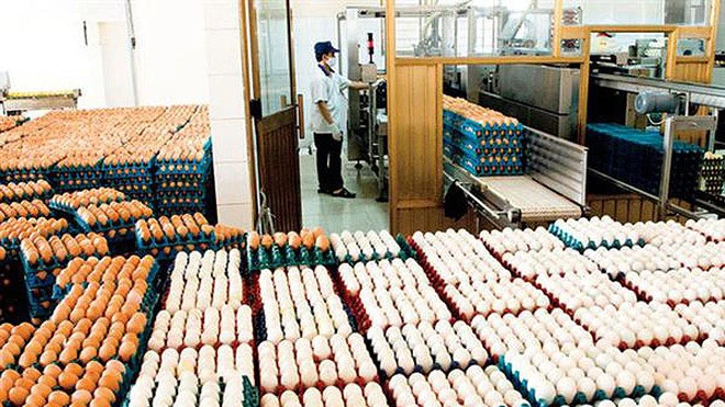 Sẽ không áp dụng hạn ngạch thuế quan nhập khẩu muối và trứng gia cầm có xuất xứ từ các nước ASEAN