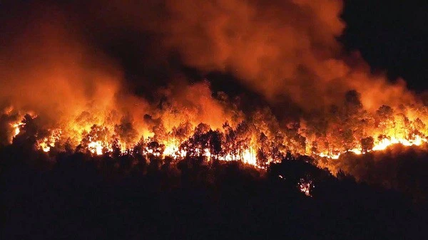 Một vụ cháy rừng ở Hà Tĩnh năm 2019
