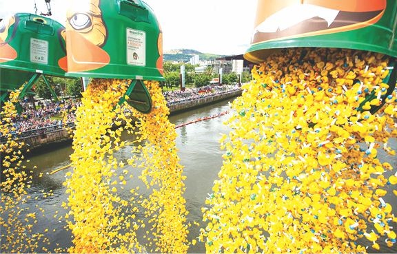數萬“小黃鴨”游泳比賽（圖片來源：互聯網）