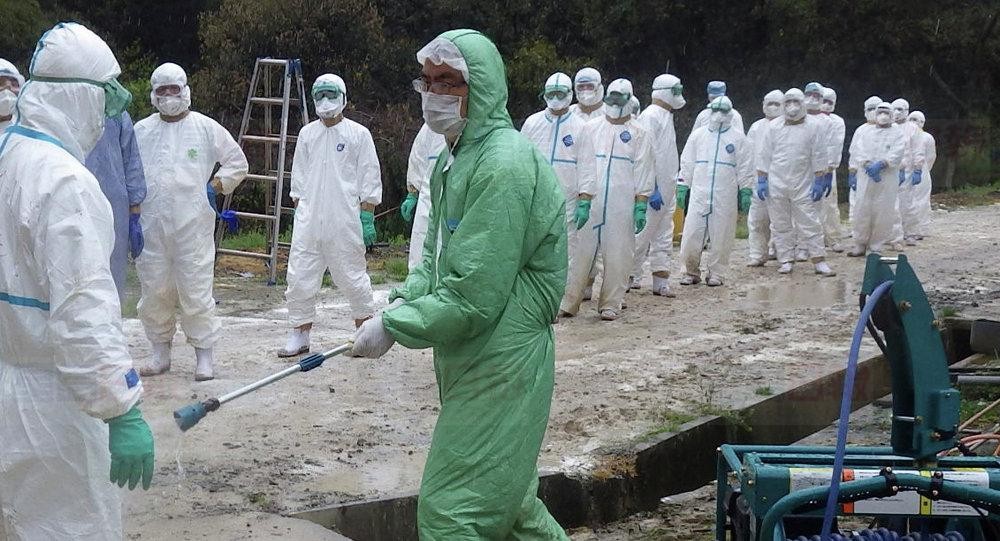 日香川縣爆發 H 5 禽流感。