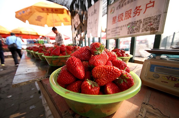 草莓連續第三年成為“最髒蔬果”榜首