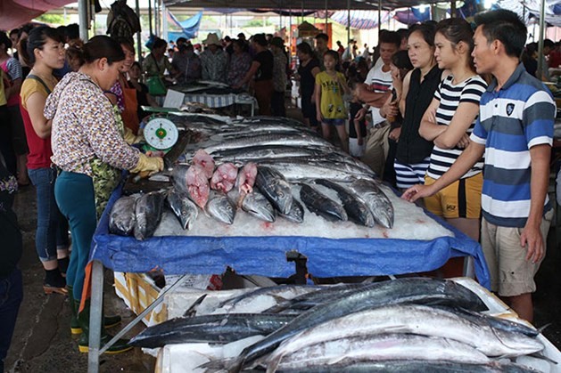 多種海產因捕撈量減少致價格上漲。