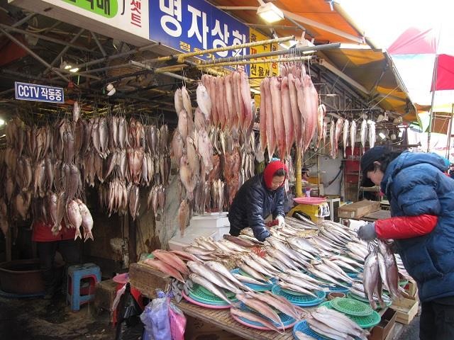 韓國最大的扎嘎其魚市。