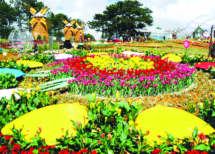 大勒花卉盛會成為國內外遊客觀光好去處。