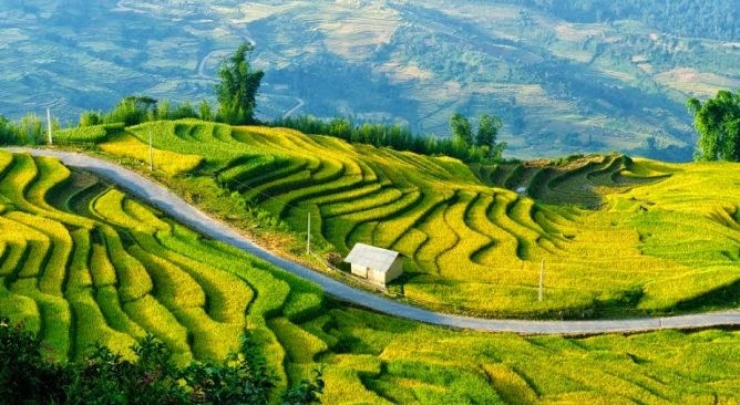 景觀方面，越南仍更優勝。