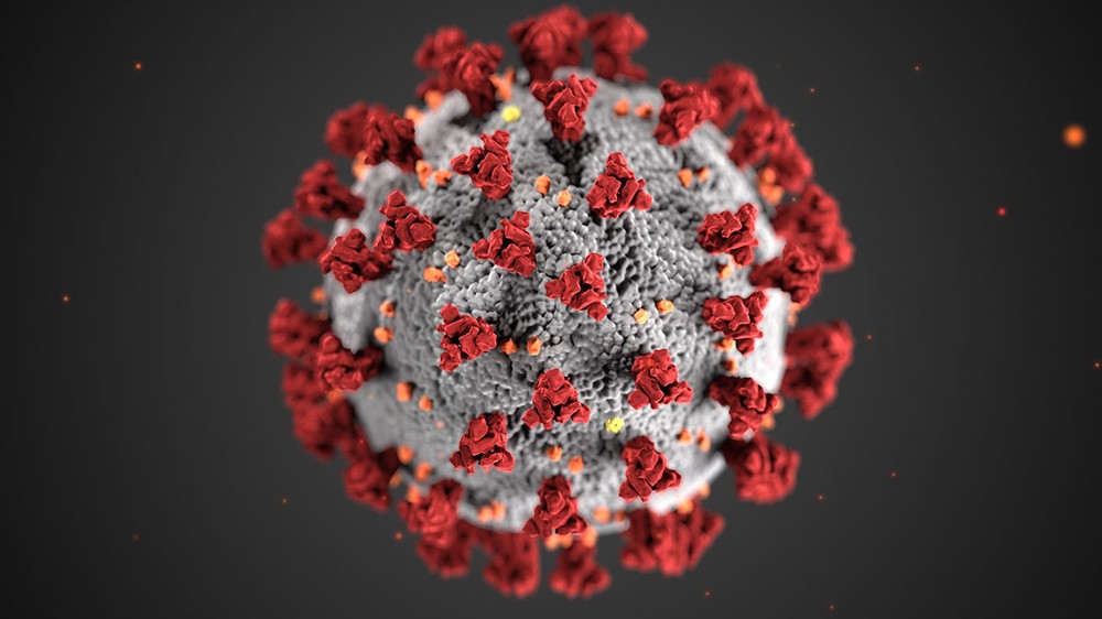 新冠病毒（示意圖源：互聯網） 