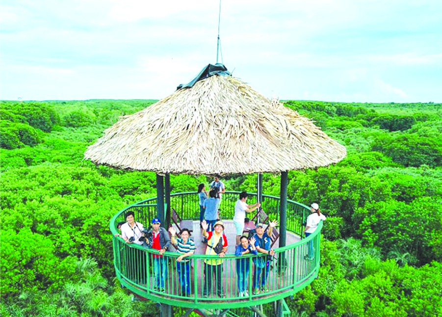 芹耶生態區遊吸引許多國內遊客參加。
