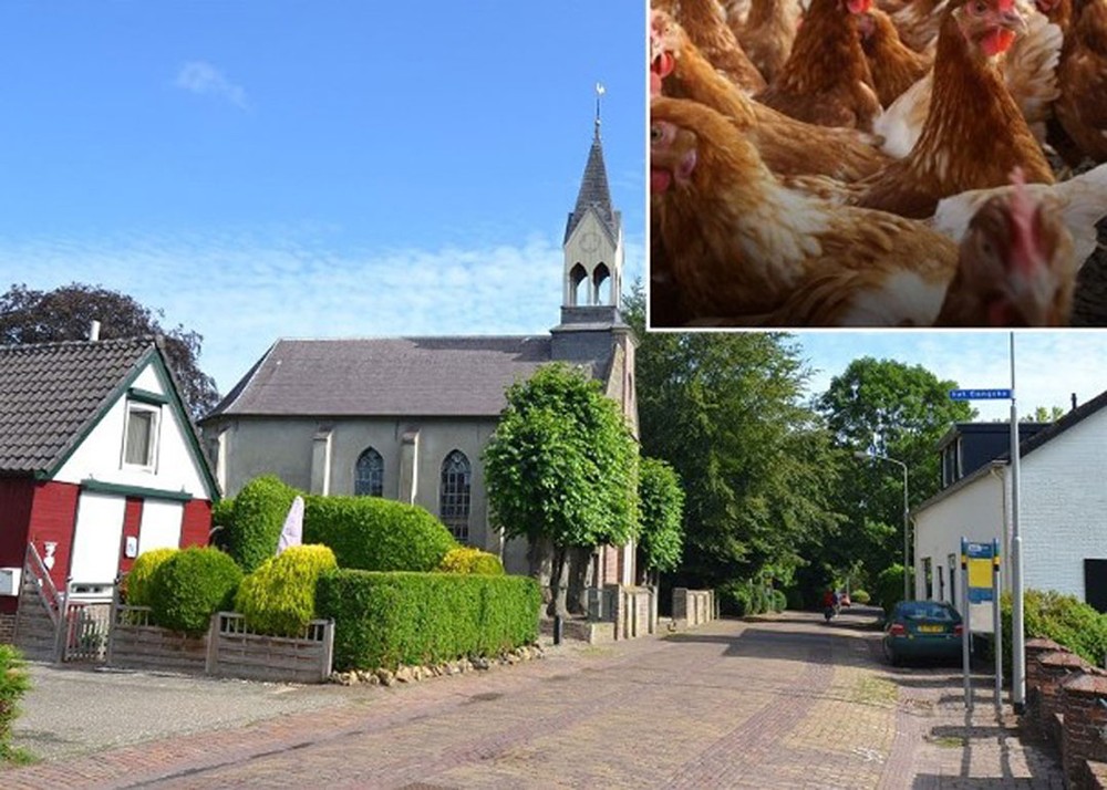 荷蘭阿爾特福斯特爆發H5N8禽流感疫情。