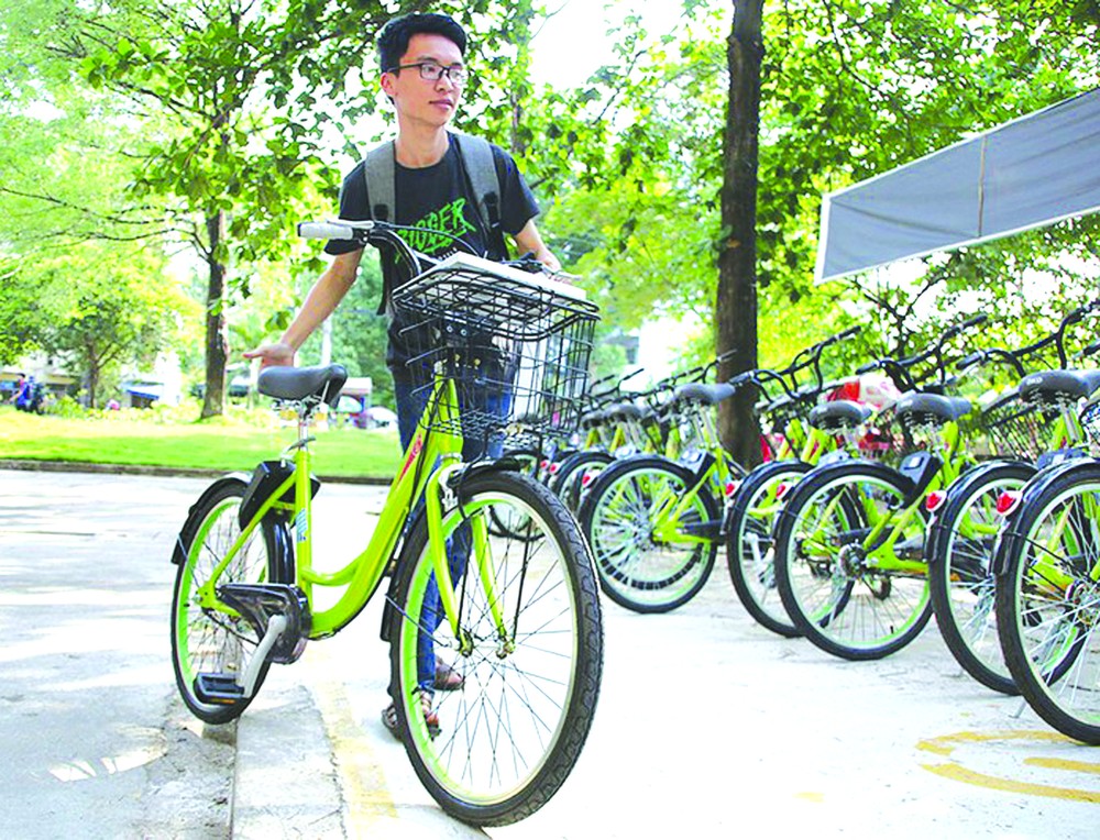 市中心區將提供公共自行車服務。