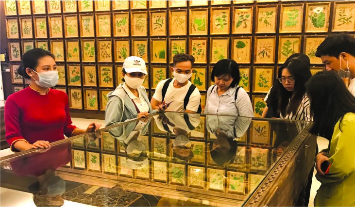 遊客參觀平陽省順安市的Fito博物館。