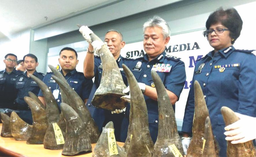 馬來西亞海關繳獲 18 根犀牛角