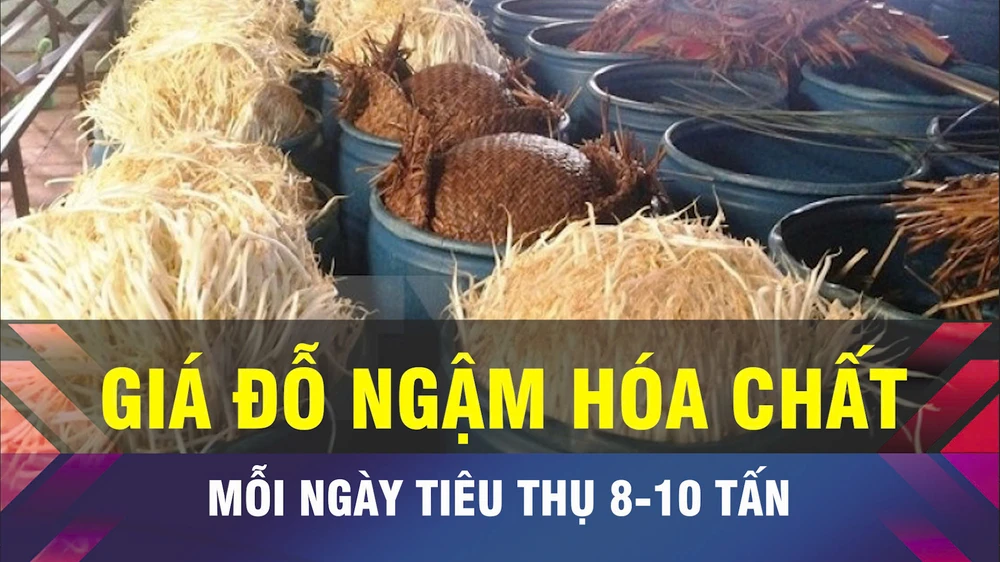 18 GIỜ HÔM NAY: Triệt phá loạt cơ sở sản xuất giá đỗ bằng hóa chất độc hại