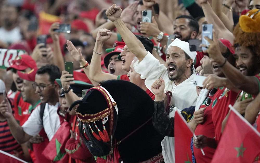 Rất đông khán giả Morocco sẽ đến Qatar