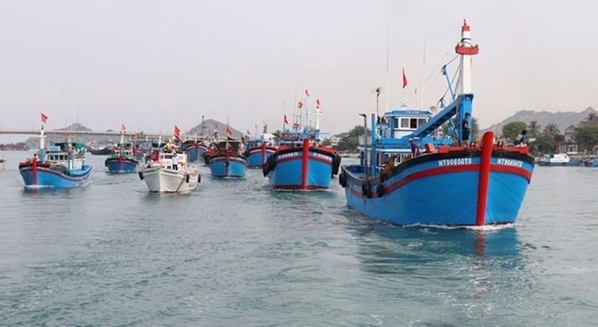 Tien Giang works hard on combating IUU fishing