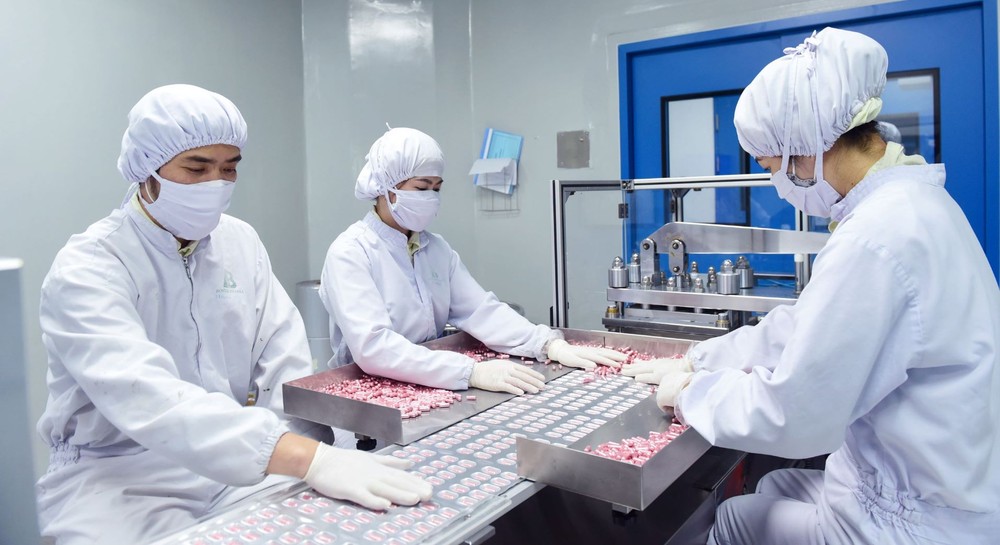 Vietnam’s pharmaceutical industry yet to develop properly