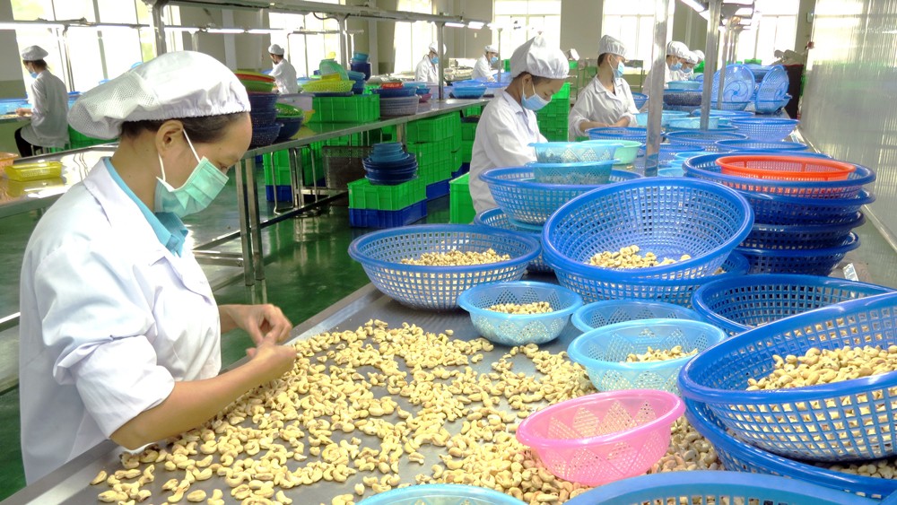 Retraso en el pago de pimienta negra y anacardos vietnamitas exportados a España
