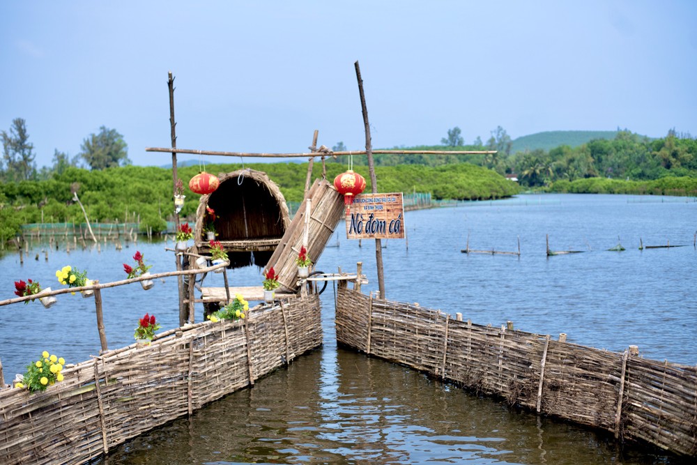 Mesmerizing Picturesque Beauty Of Bau Ca Cai Mangrove Forest 