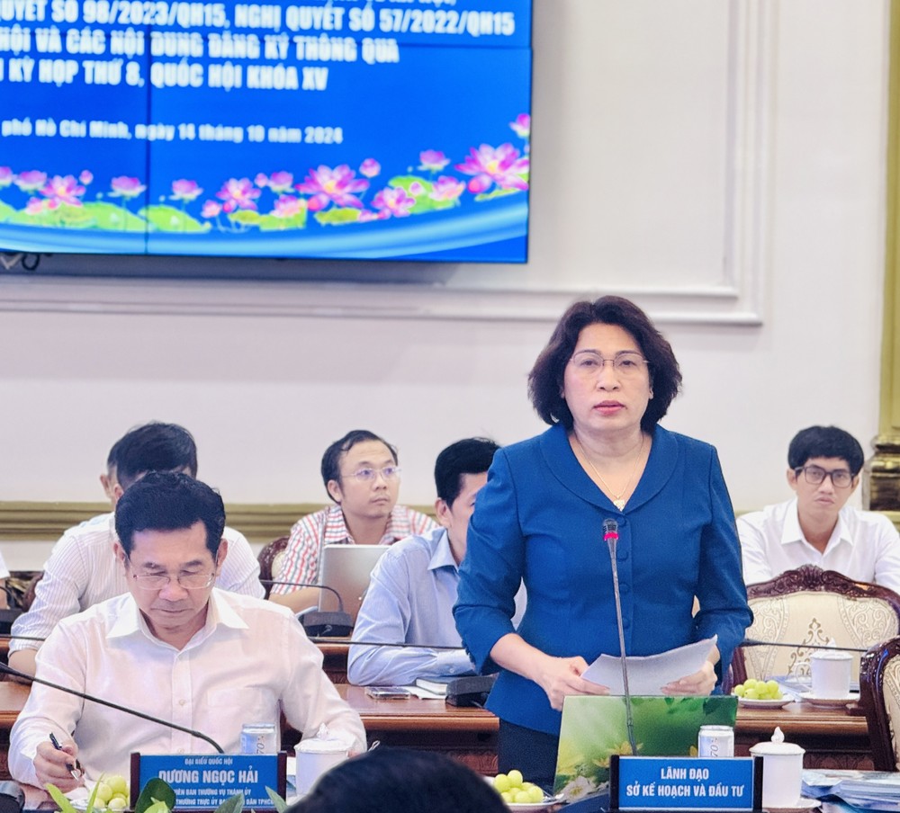 Ms. Le Thi Huynh Mai, Director of the HCMC Department of Planning and Investment, speaks at the meeting. z5928851193652-ee43ba57931e908354b97b4ebc730efa-3201.jpg.jpg