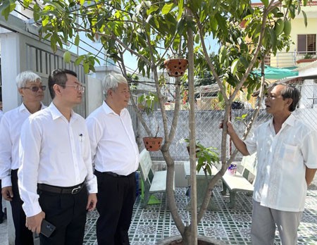 Leaders of District 7 are visiting residents who donate land for alley expansion. (Photo: SGGP)