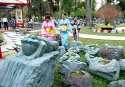 Vườn Nhật Bản tại Hội hoa xuân 2009: Hồn của đá