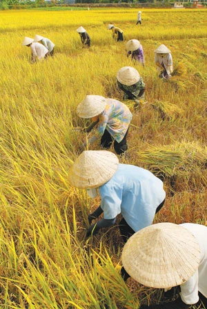 Dòng sông Mẹ sẽ ra sao ngày sau?. Bài 3: Hành động để dòng sông được chảy tự do