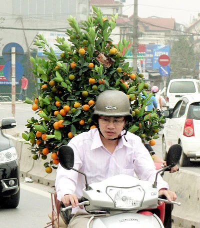 Hà Nội đón tết