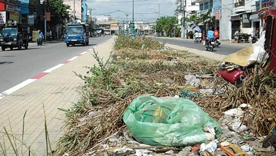 Đẹp mà... chưa đẹp