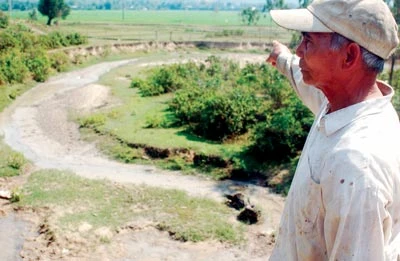 Trở lại vụ “bức tử” rừng ở Quảng Nam: Có bao che phá rừng?