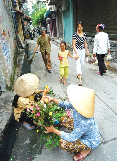 Ngõ Hà Nội