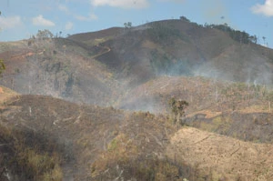 Cháy hơn 100 hecta rừng tại huyện Sa Thầy, Kon Tum