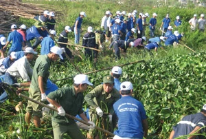 Rác trước sân nhà...