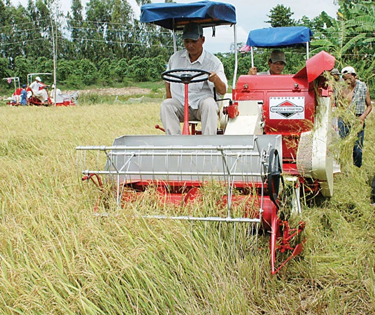 Xuất khẩu gạo - Những tín hiệu lạc quan