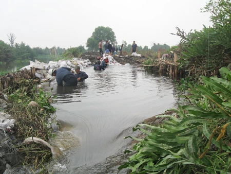 TP Hồ Chí Minh: 70 hộ dân ngập chìm trong nước